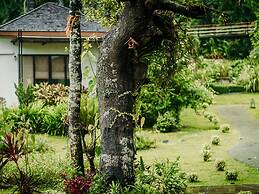 The Mangrove Panwa Phuket Resort