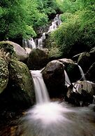 Ardree House Bed & Breakfast