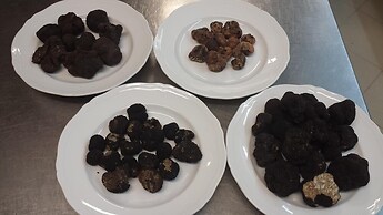 Casale l'Antico Carro