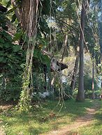 Mbweni Ruins & Gardens