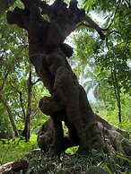 Mbweni Ruins & Gardens