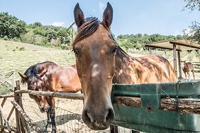Agriturismo Goccia di Luna
