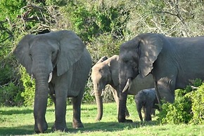 Sibuya Game Reserve