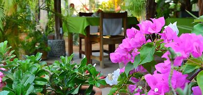 Villa Mozart y Macondo