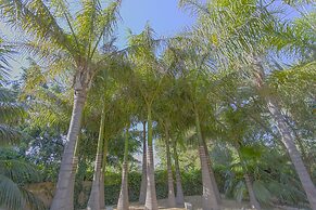 El Palmeral de Madaria