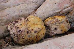 Krabi Discovery Resort