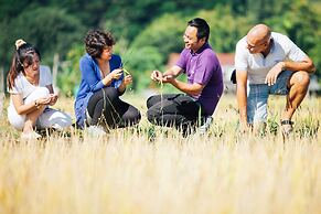 The Pavana Chiang Mai Resort