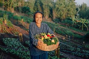 The Pavana Chiang Mai Resort