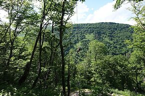 Tsaghkadzor Marriott Hotel