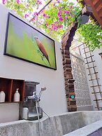 Hoi An Chic Green Retreat