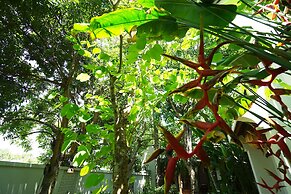 Hoi An Chic Green Retreat