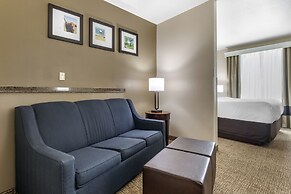 Comfort Suites Waco North - Near University Area