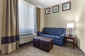 Comfort Suites Waco North - Near University Area