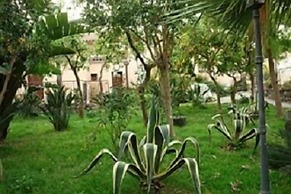 La Grevillea