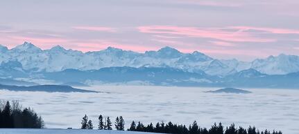 Bio- und Wellnesshotel Alpenblick