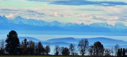 Bio- und Wellnesshotel Alpenblick
