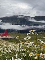 The Vintage Gulmarg