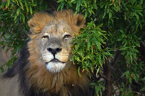 57 Waterberg Lodge