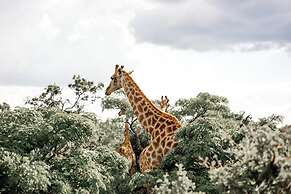 57 Waterberg Lodge