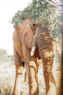 57 Waterberg Lodge