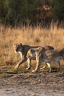 57 Waterberg Lodge