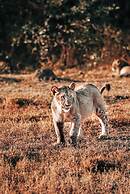 57 Waterberg Lodge