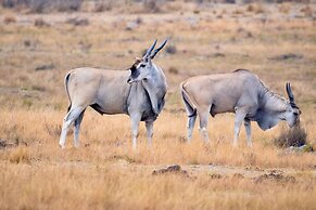 57 Waterberg Lodge