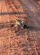57 Waterberg Lodge