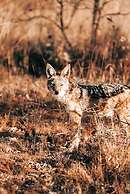 57 Waterberg Lodge