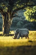 57 Waterberg Lodge
