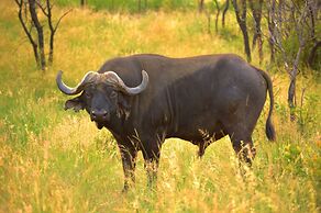 57 Waterberg Lodge