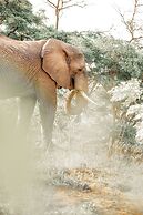 57 Waterberg Lodge