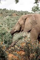 57 Waterberg Lodge