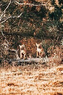 57 Waterberg Lodge