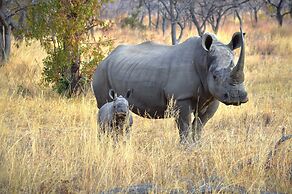 57 Waterberg Lodge