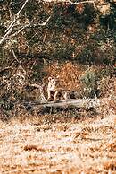57 Waterberg Lodge