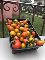 Osteria A Stalla Sischese & Spa