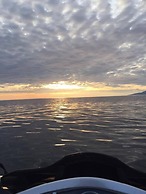 Maddens Bridge Bar & Guesthouse