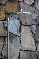 Constance Tekoma. Rodrigues