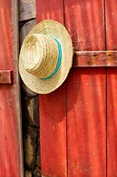 Constance Tekoma. Rodrigues