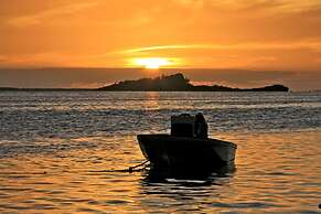 Constance Tekoma. Rodrigues