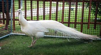 Crowne Plaza Hailing Island by IHG