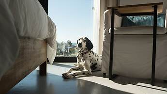 Hotel El Ganzo Adults Only