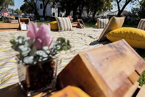 Kievits Kroon Gauteng Wine Estate