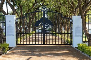 Kievits Kroon Gauteng Wine Estate