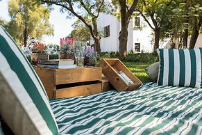 Kievits Kroon Gauteng Wine Estate