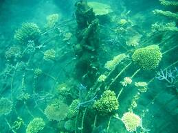 Adi Assri Beach Resort & Spa