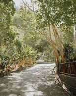 The Vatika Resort and Spa