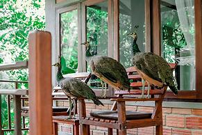 The Vatika Resort and Spa