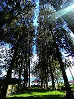 Pandu Lakeside Hotel Tuktuk